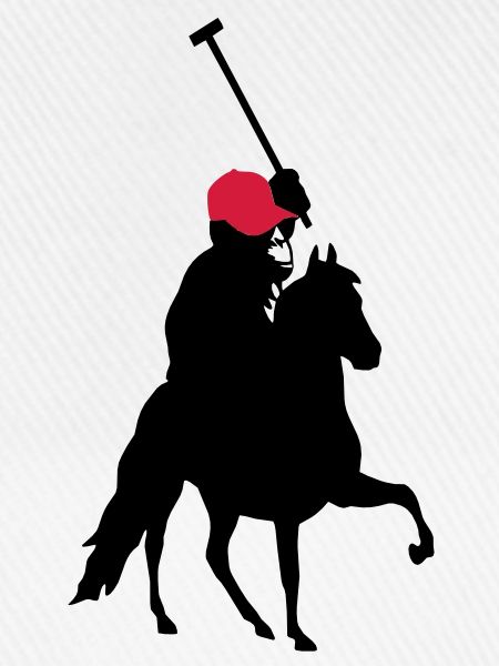 polo sport