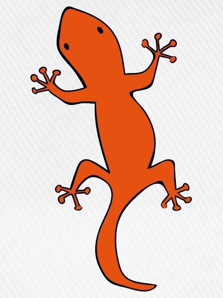 salamander