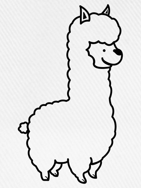Alpaka