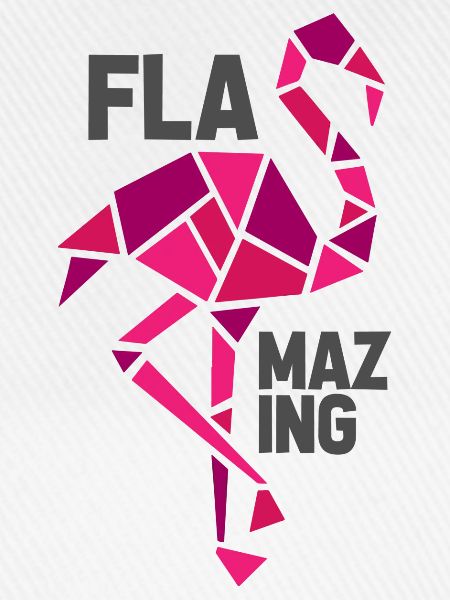 flamazing flamingo