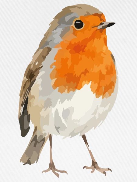 Rotkehlchen Portrait im Aquarellstil