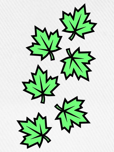 Ahornblatt Blätter Symbol