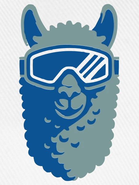 alpaka-skibrille-