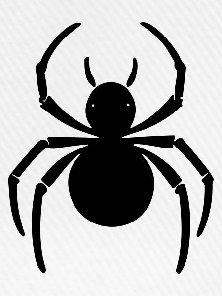 Spinne