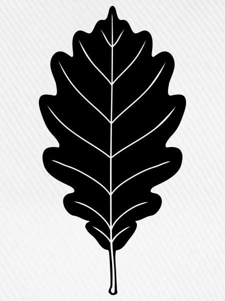 Oak Leaf