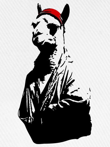 Mütze Lama