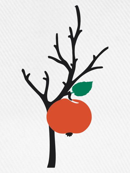 Apfelbaum apple tree