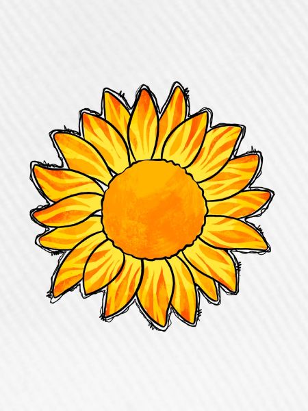 Sonnenblume