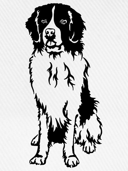 Landseer
