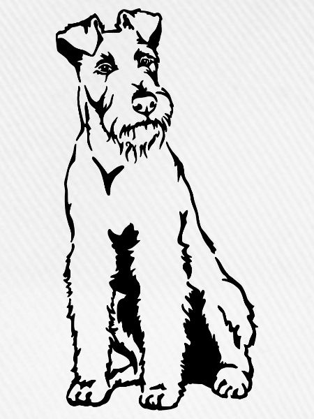 Irish Terrier