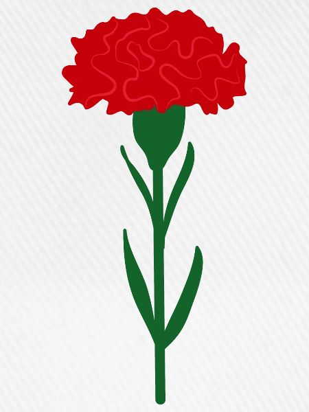 Einzelne leuchtend rote Nelkenblume