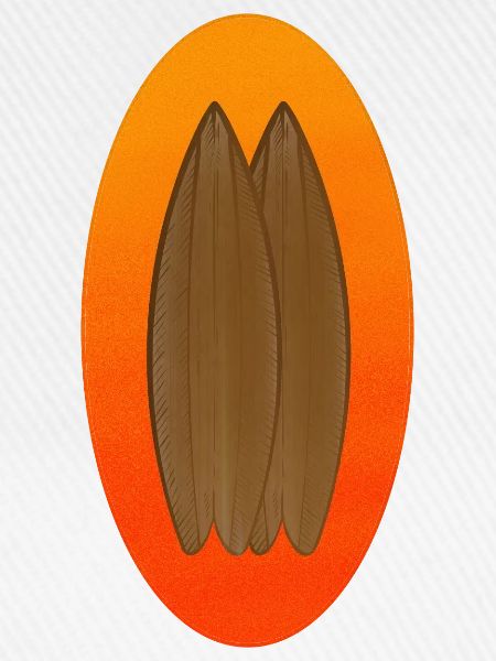 Surfboard Logo