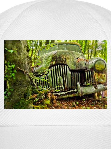 Waldverfall: Rostige Autoüberreste