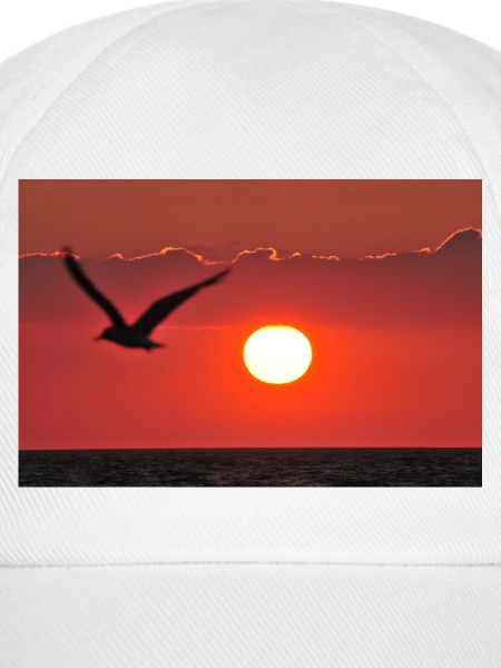 Abendrot mit Möwe