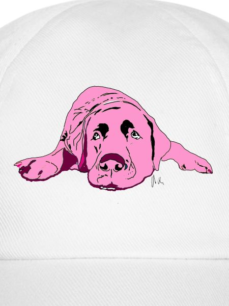 Labrador