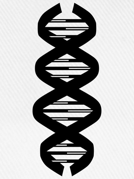 dna