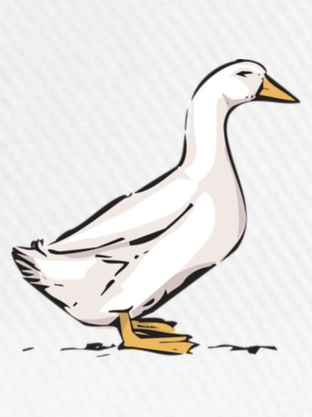 Gans