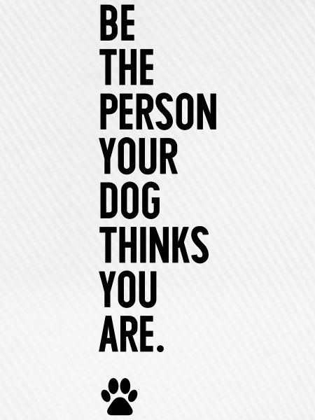 Dog-Person
