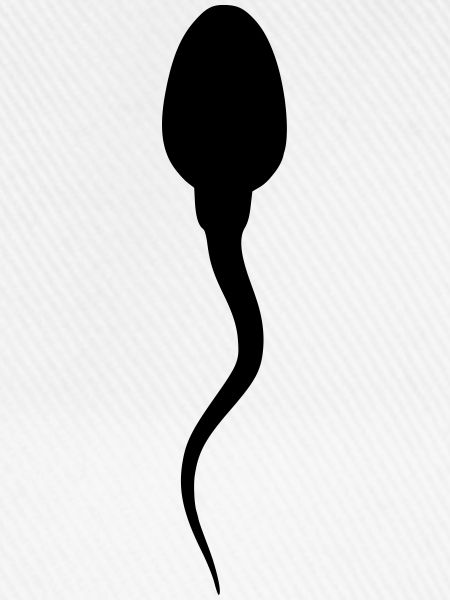 sperma