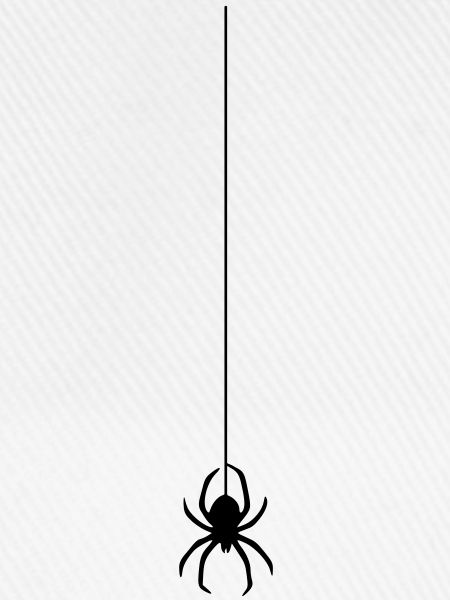 spinne am faden