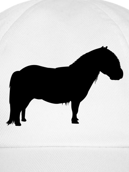 Shetty Shetland Shetlandpony