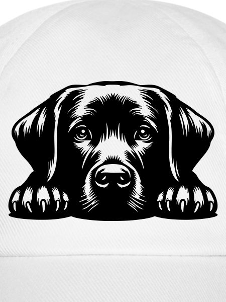 Labrador Kopf mit Pfoten