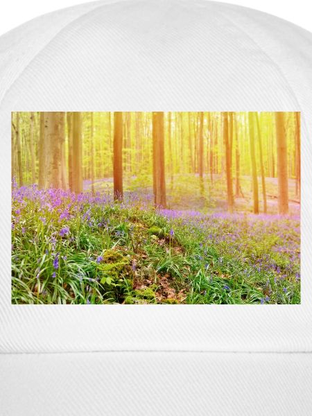 Sonnenbeschienener Blauglockenwald-Glow