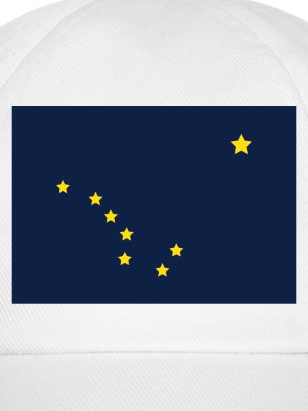 Alaska Staatsflagge