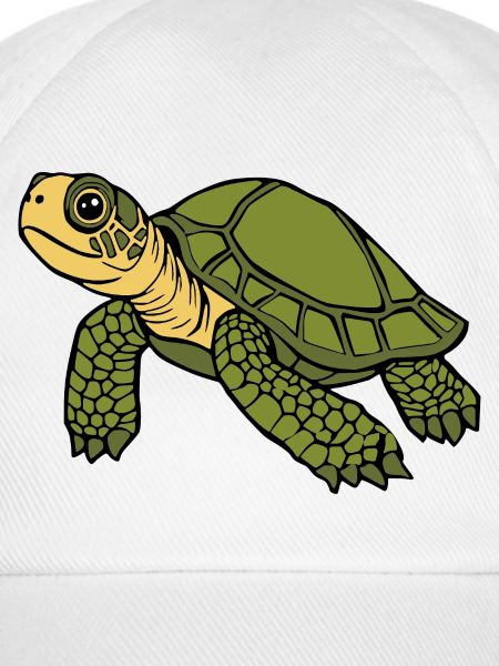 Schildkröten Schildkröten