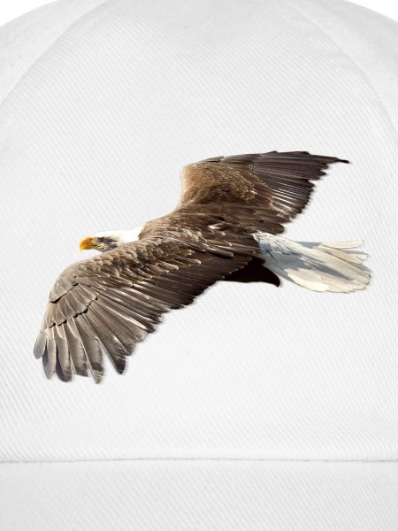 Adler