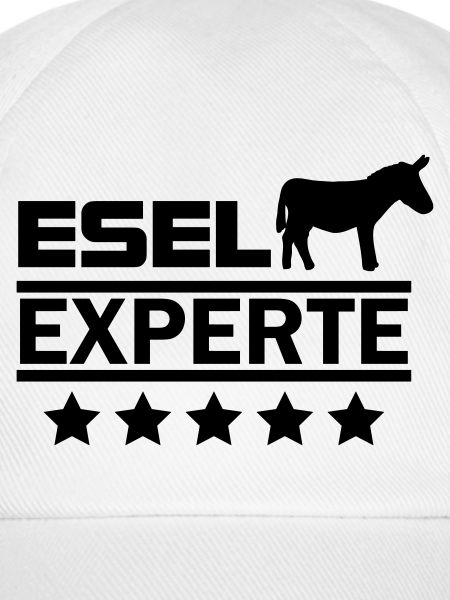 Esel Experte