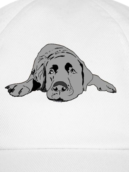 Labrador