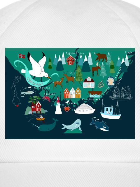 Südnorwegen Souvenir 