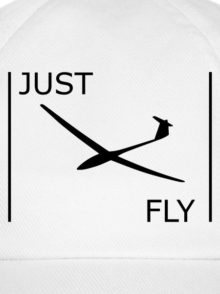 Segelflugzeug