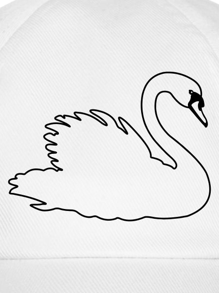 Transparenter Schwan