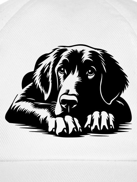 Flat-coated Retriever