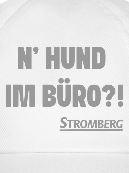 Stromberg Mit Spruch N' Hund Im Büro?!