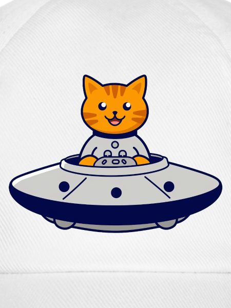 Katze im UFO Abenteuer