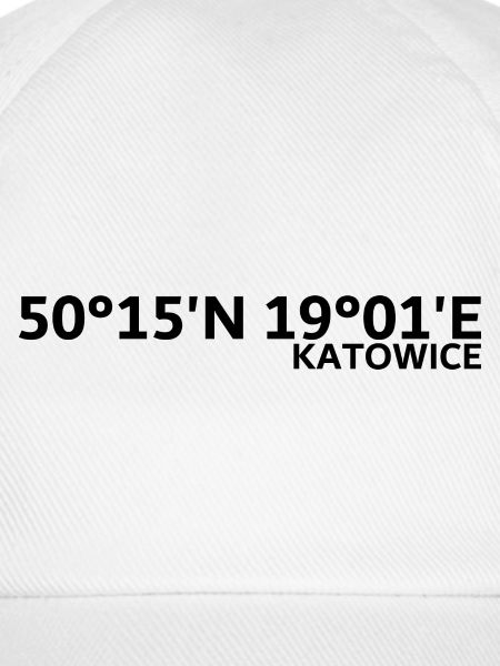 Katowice Koordinaten