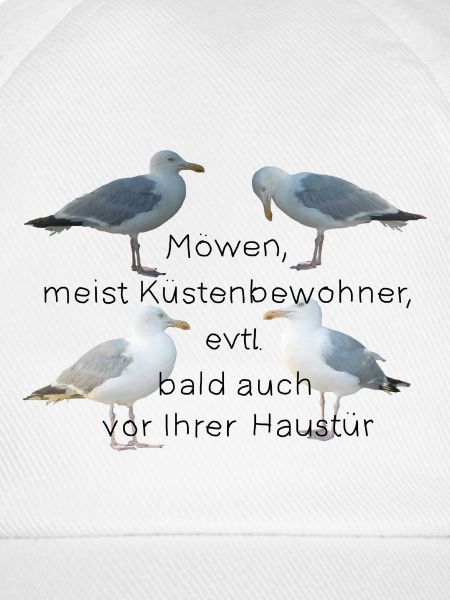 Möwen mit Spruch