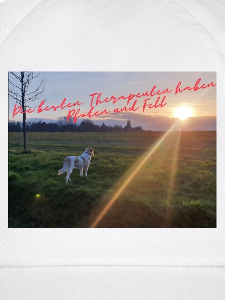 PfotenTherapie am Abendsonne