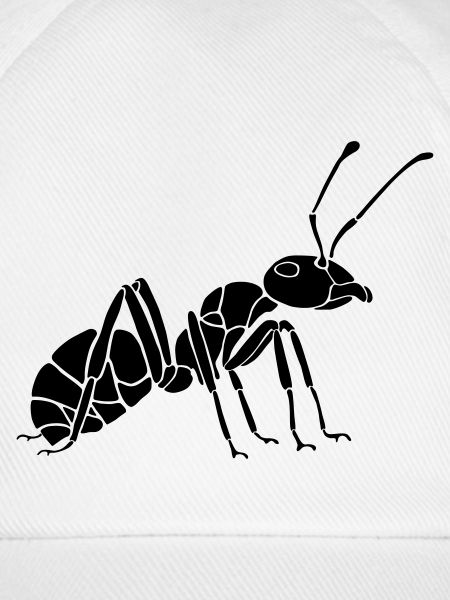 Ant