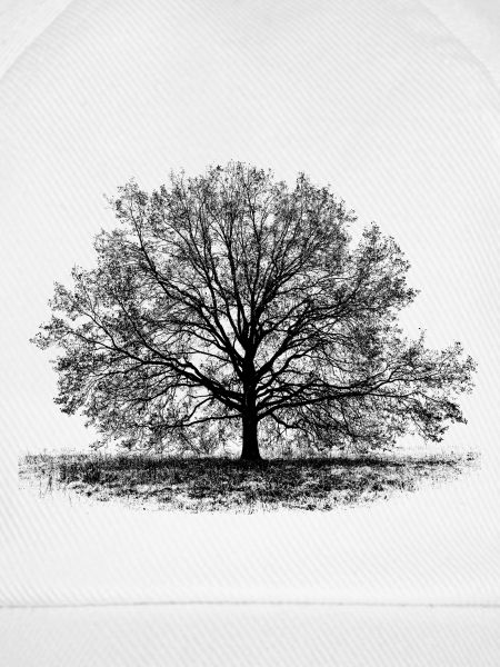 Baum in Schwarz