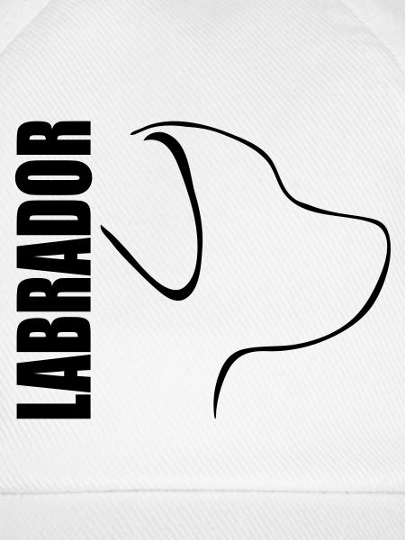 LABRADOR PROFIL