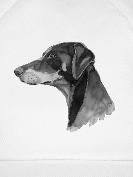 Dobermann Pincher