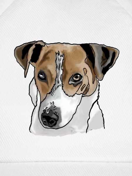 Jack Russel Terrier