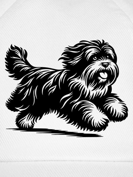Tibet Terrier