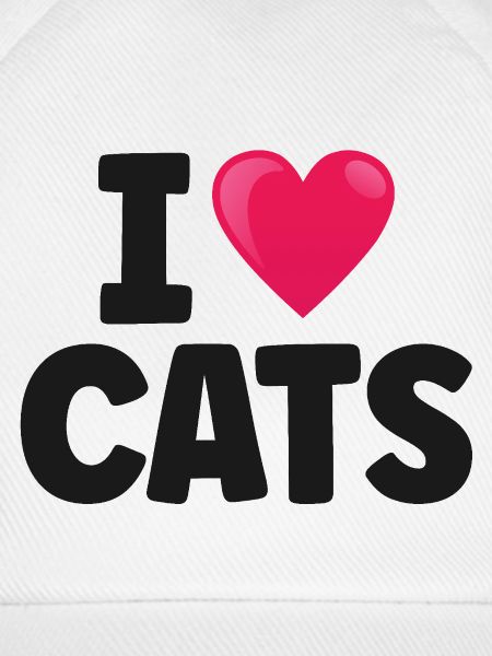 Katze