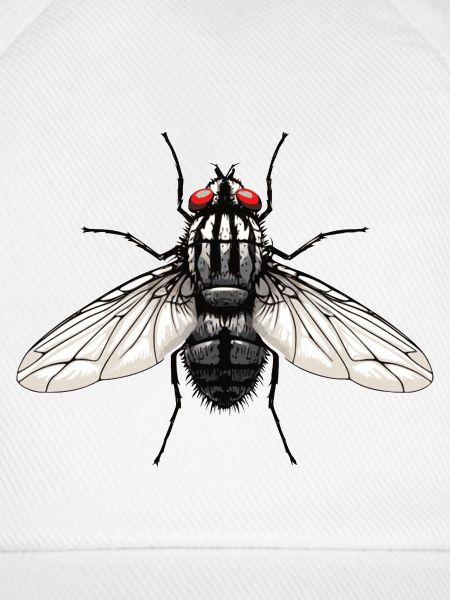 Fliege
