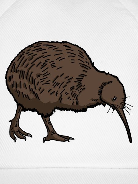 Kiwi Vogel